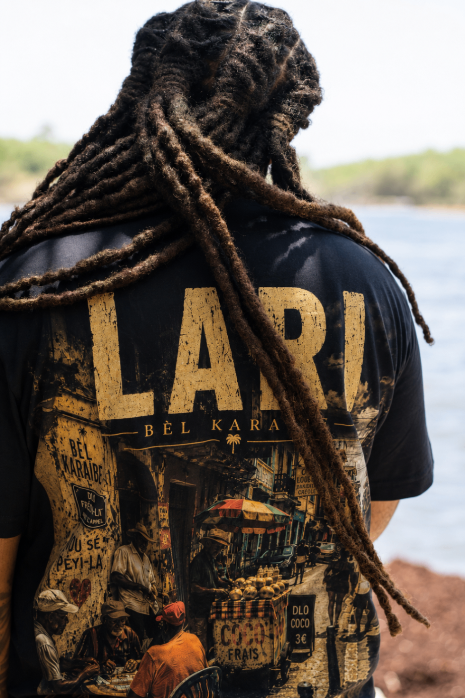 LARI — plan éditorial