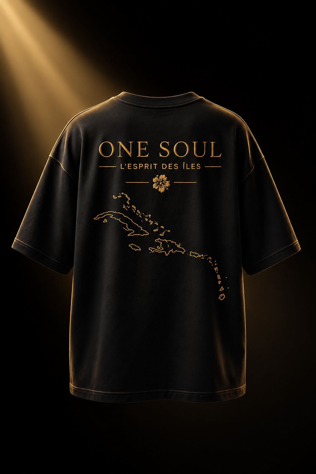 ONE SOUL — plan éditorial